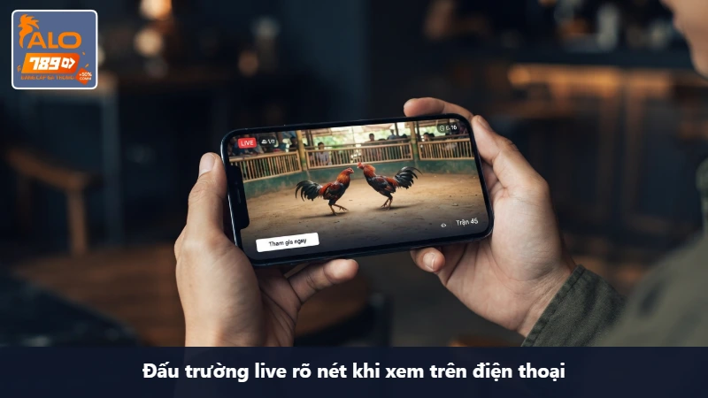 đá gà ALO789 – Live Arena, Xem Trận Mượt Trên Mobile 2026